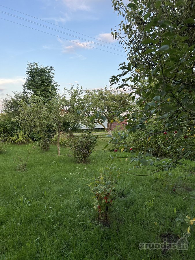 Parduodamas tvarkingas sodo namas Janališkių - nuotraukos Nr. 13