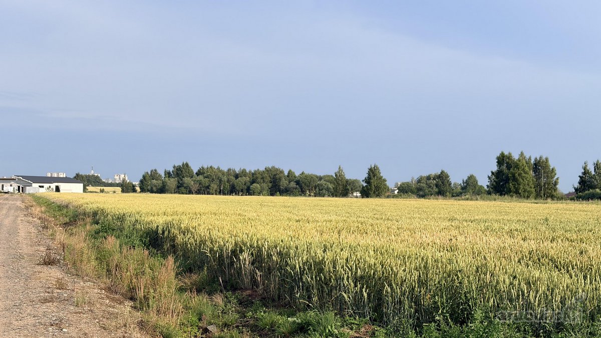 Parduodami namų valdos sklypai privačiame, - nuotraukos Nr. 12