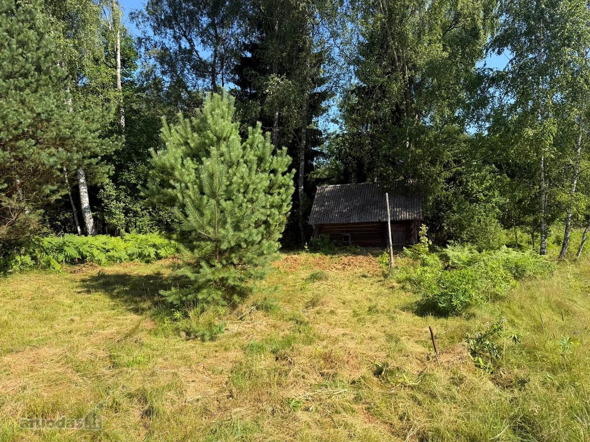 Parduodama nuošali sodyba-vienkiemis Molėtų r - nuotraukos Nr. 9