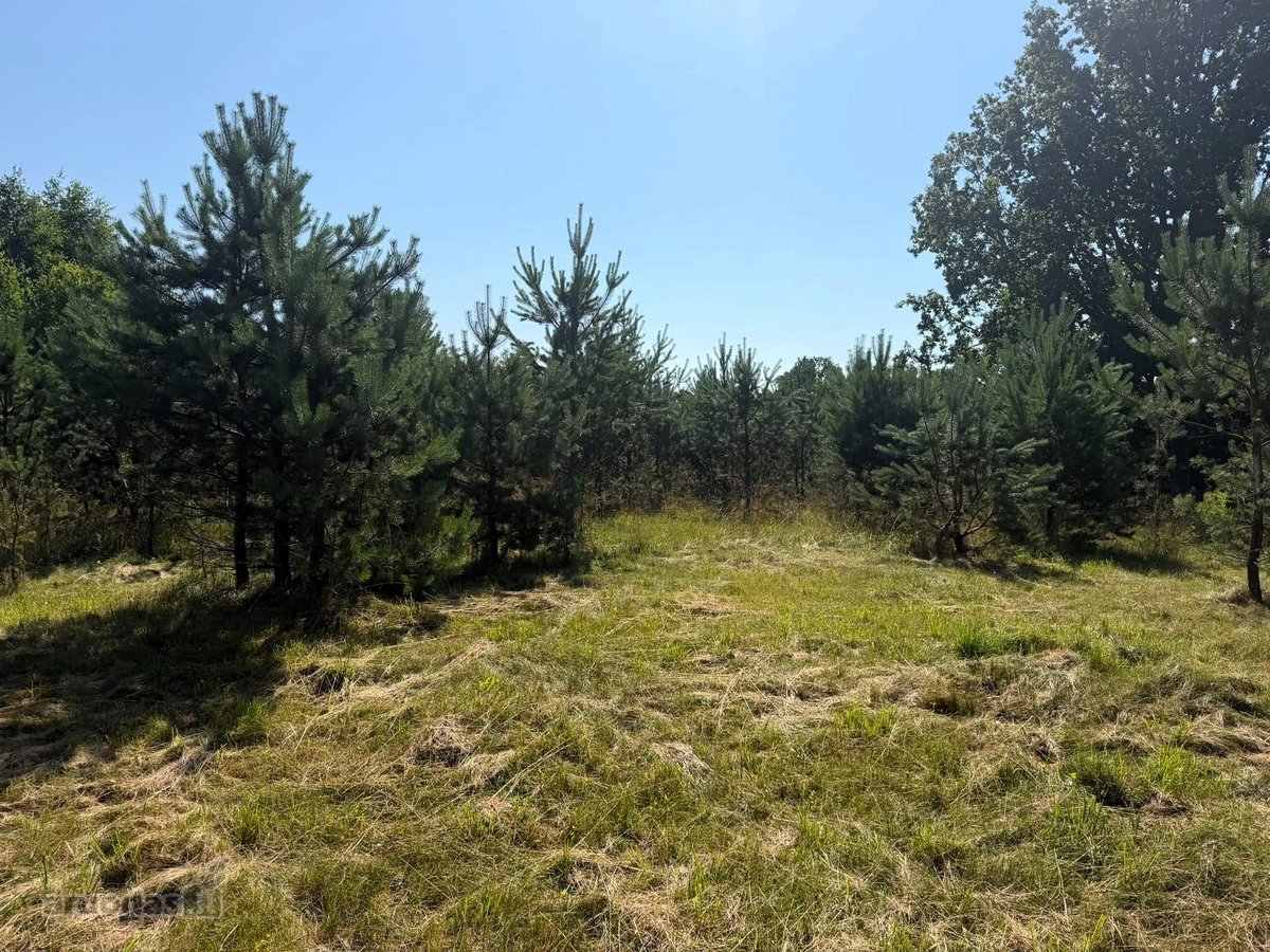 Parduodama nuošali sodyba-vienkiemis Molėtų r - nuotraukos Nr. 13