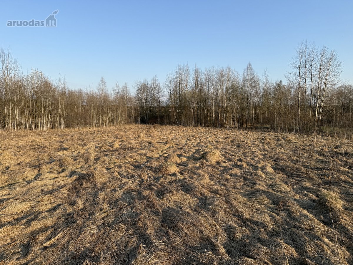 Parduodamas namų valdos sklypas Bruknių - nuotraukos Nr. 2
