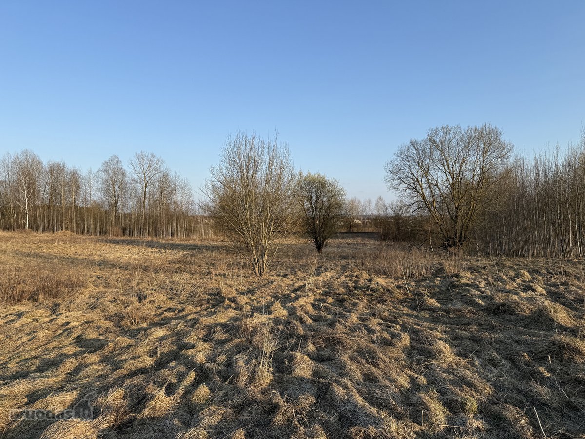Parduodamas namų valdos sklypas Bruknių - nuotraukos Nr. 3