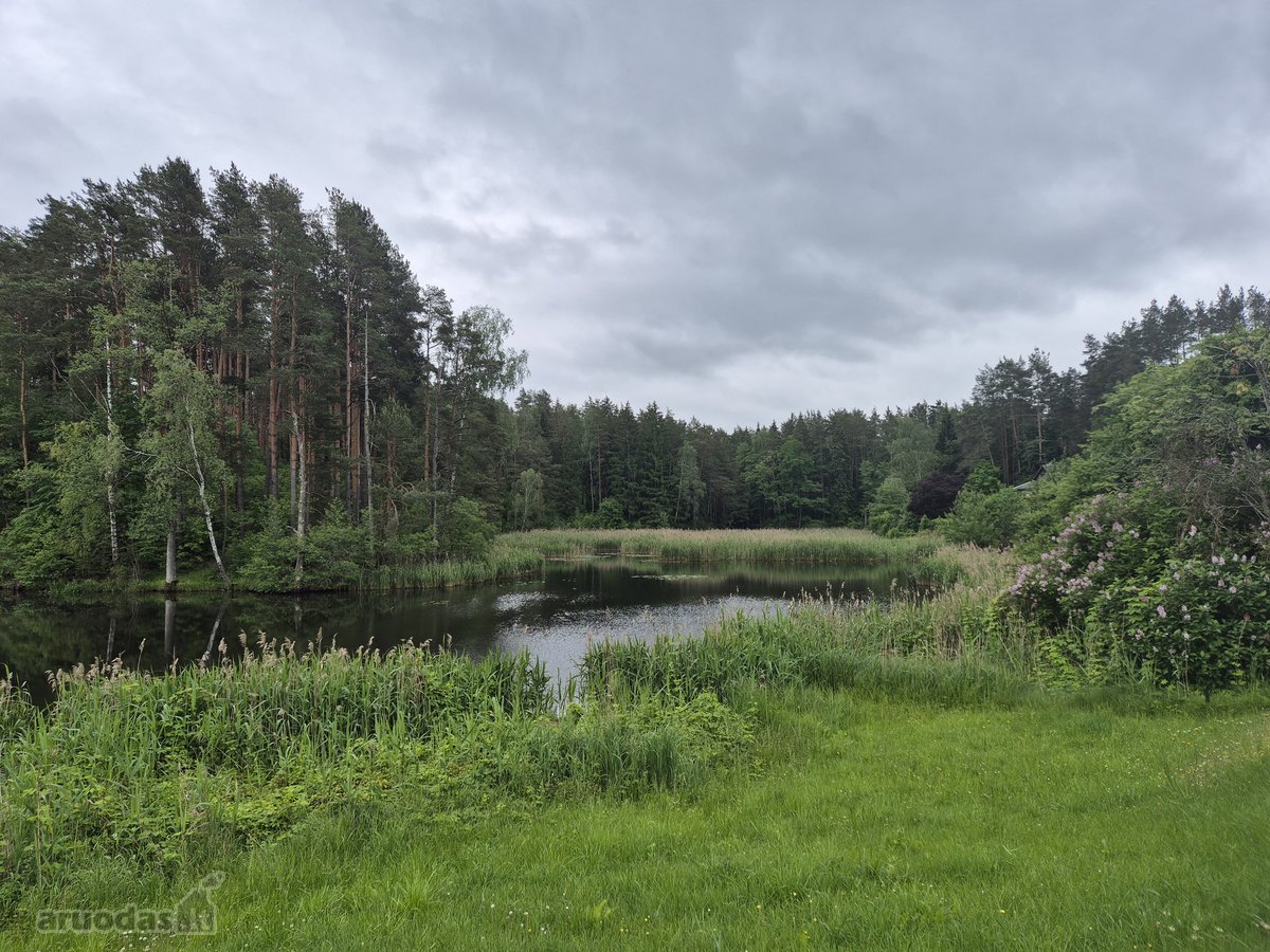 Parduodamas Erdvus 10 Arų Sodo Sklypas - nuotraukos Nr. 11