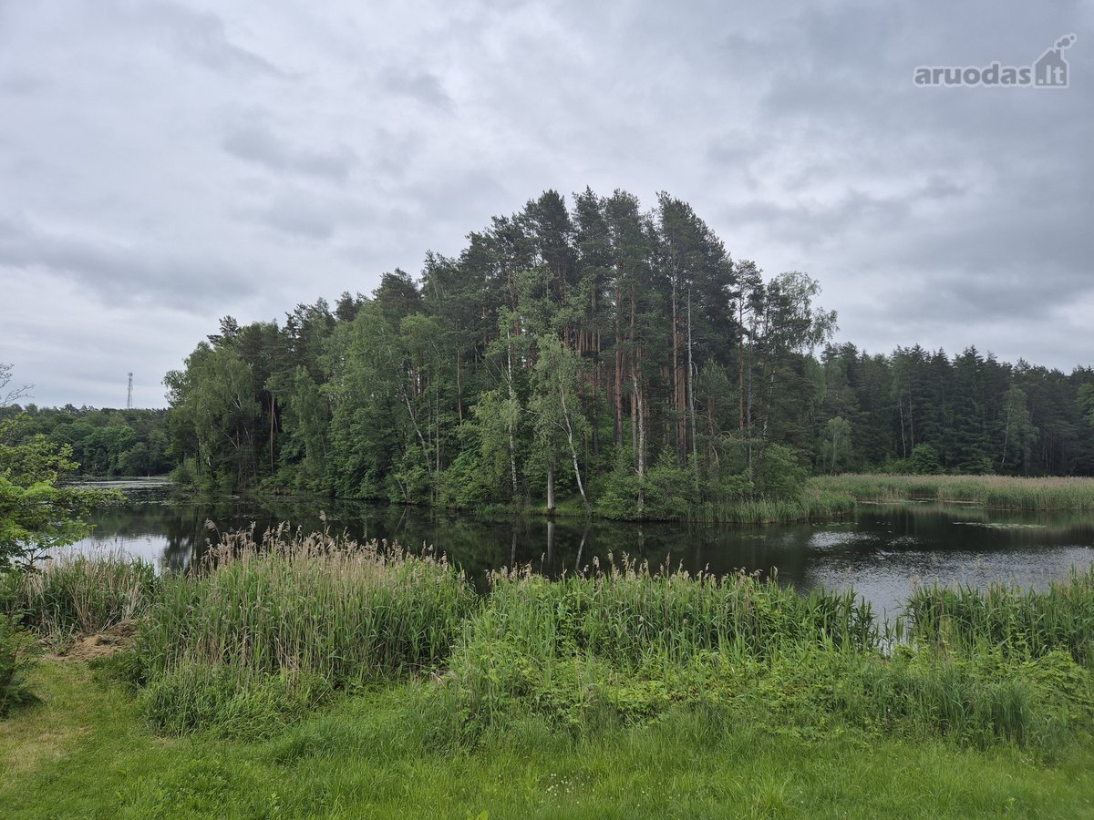 Parduodamas Erdvus 10 Arų Sodo Sklypas - nuotraukos Nr. 13