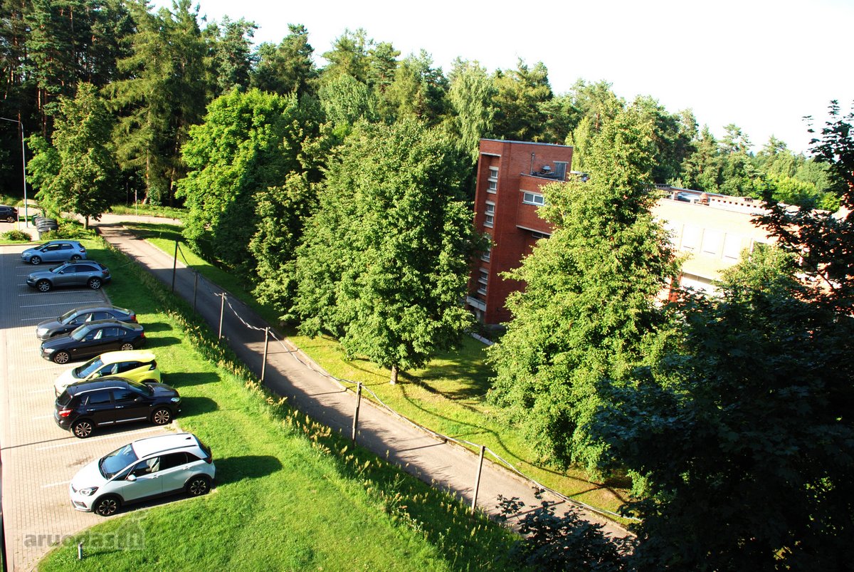 Nuomojo jaukų, šviesų , dviejų kambarių butą - nuotraukos Nr. 6