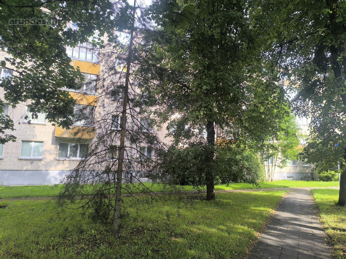 Centras, 1 aukštas, 2 kambariai - nuotraukos Nr. 37