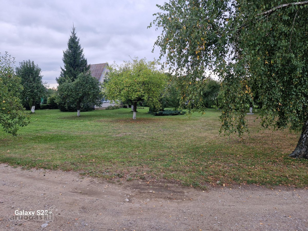 Parduodamas dvėjų aukštų murinis namas su 46a - nuotraukos Nr. 7
