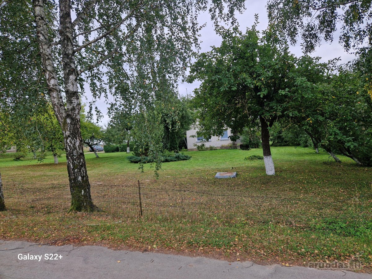 Parduodamas dvėjų aukštų murinis namas su 46a - nuotraukos Nr. 8