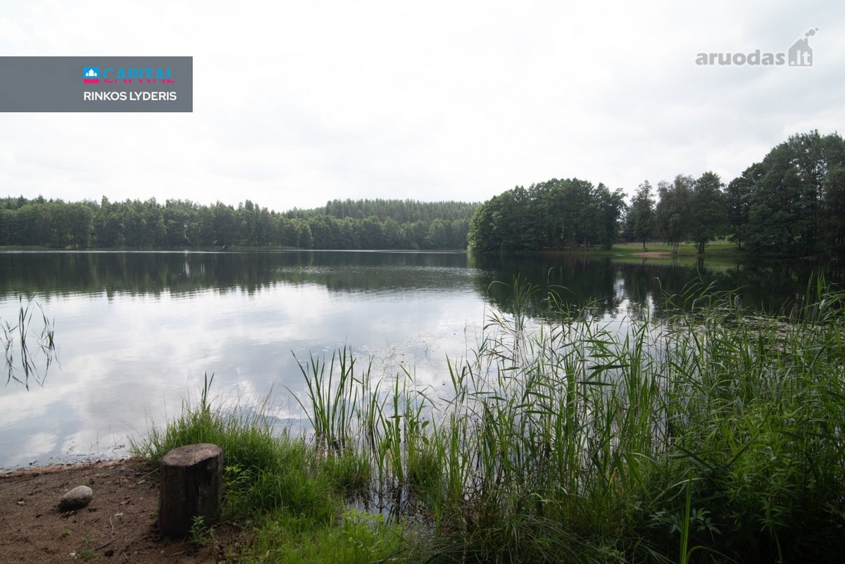 Ieškote vietos, kur ryto tylą pakeičia pušų - nuotraukos Nr. 18