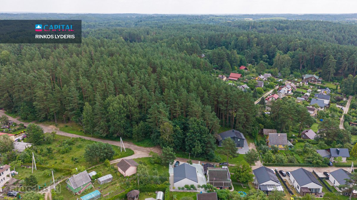 Ieškote vietos, kur ryto tylą pakeičia pušų - nuotraukos Nr. 22