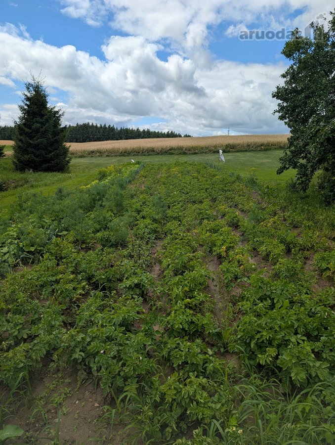 Lazdijų r. sav. Šeštokų sen., Gudeliškės k. - nuotraukos Nr. 24