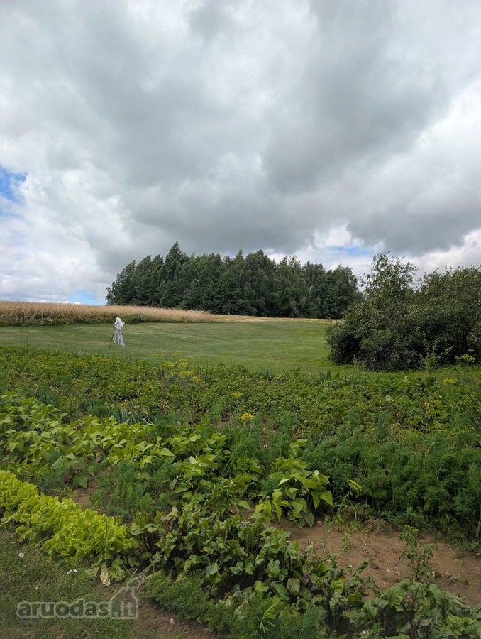 Lazdijų r. sav. Šeštokų sen., Gudeliškės k. - nuotraukos Nr. 26