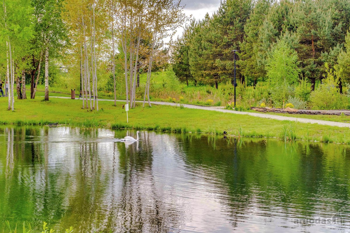 Parduodamas jaukus ir stilingas 1 kambario - nuotraukos Nr. 44