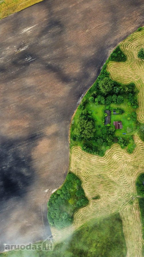 Parduodamas 2,1 ha žemės ūkio paskirties - nuotraukos Nr. 2