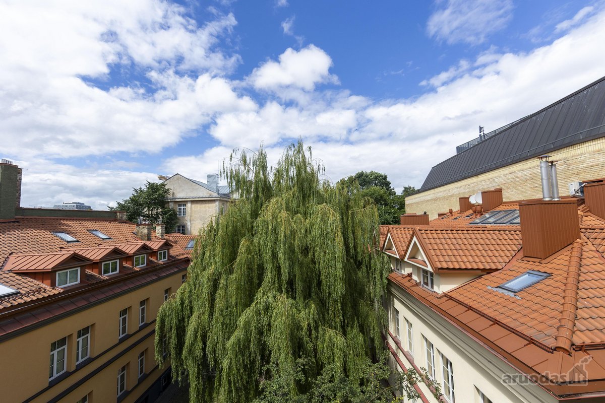 Pačioje Vilniaus širdyje priešais Katedrą - nuotraukos Nr. 6