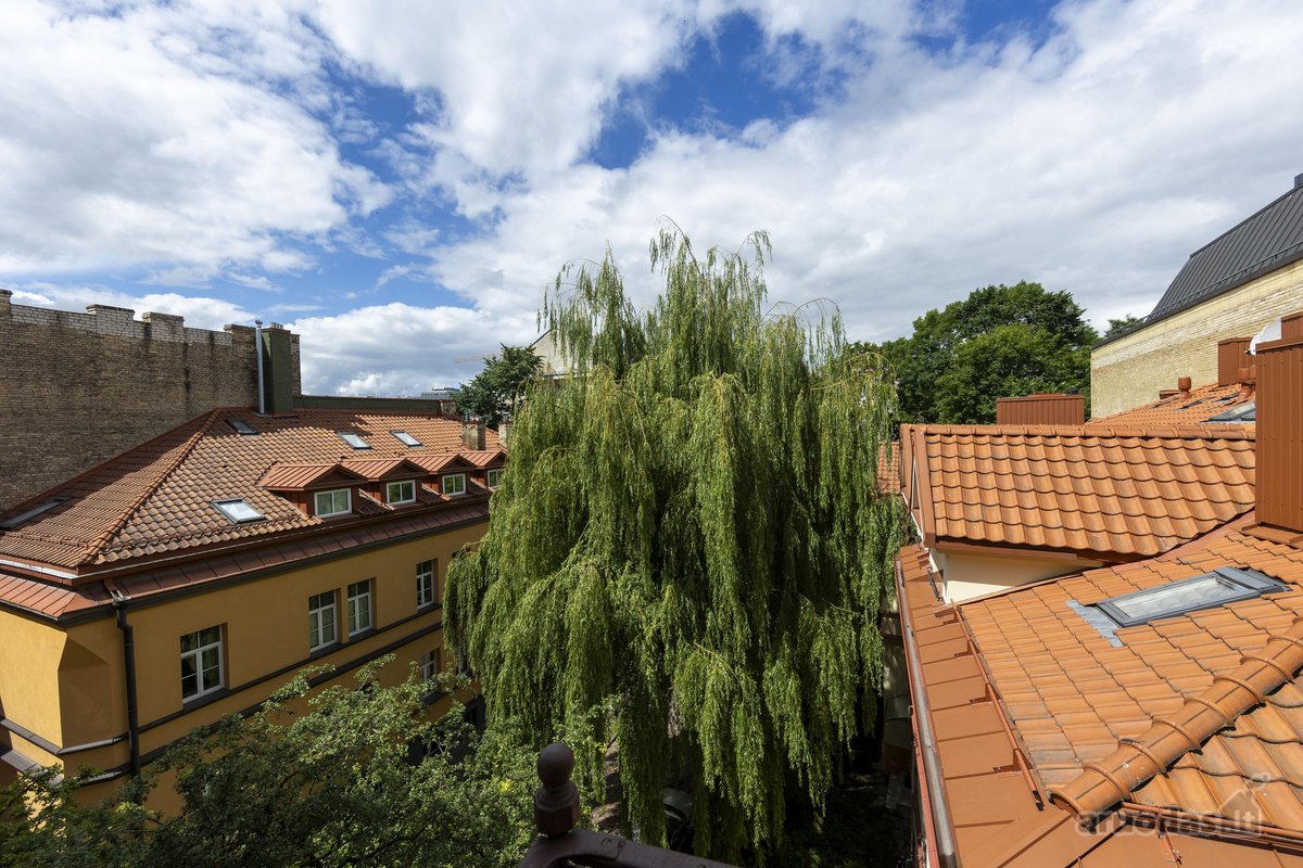 Pačioje Vilniaus širdyje priešais Katedrą - nuotraukos Nr. 7