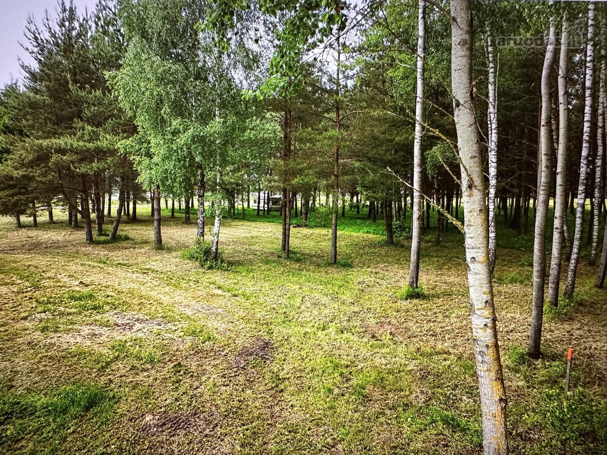 Nuostabioje vietoje, Širvintų rajone, Juodkų - nuotraukos Nr. 23