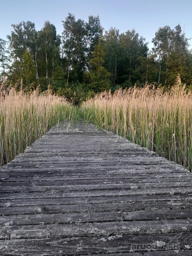 Nedidelė jauki sodybėlė tikram poilsiui - nuotraukos Nr. 43