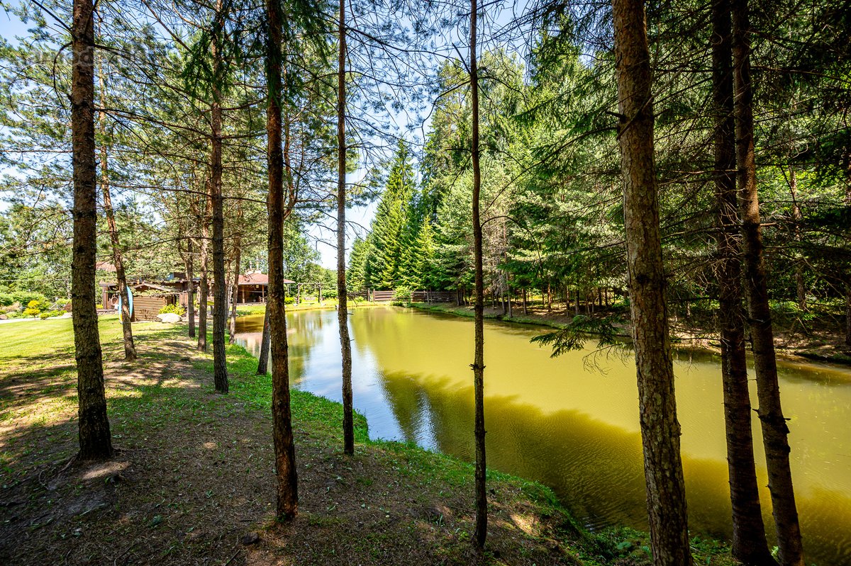 Pabėkite nuo miesto skubėjimo ten, kur laikas - nuotraukos Nr. 44