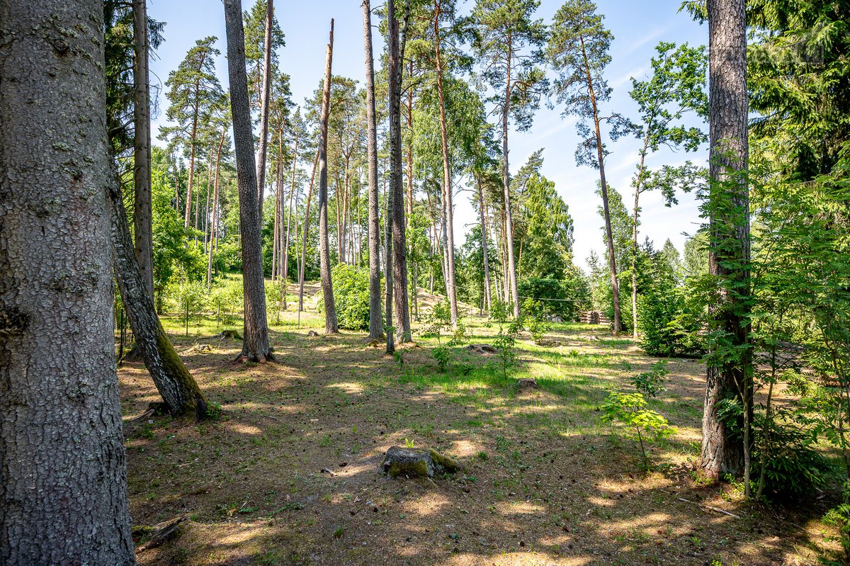 Pabėkite nuo miesto skubėjimo ten, kur laikas - nuotraukos Nr. 61