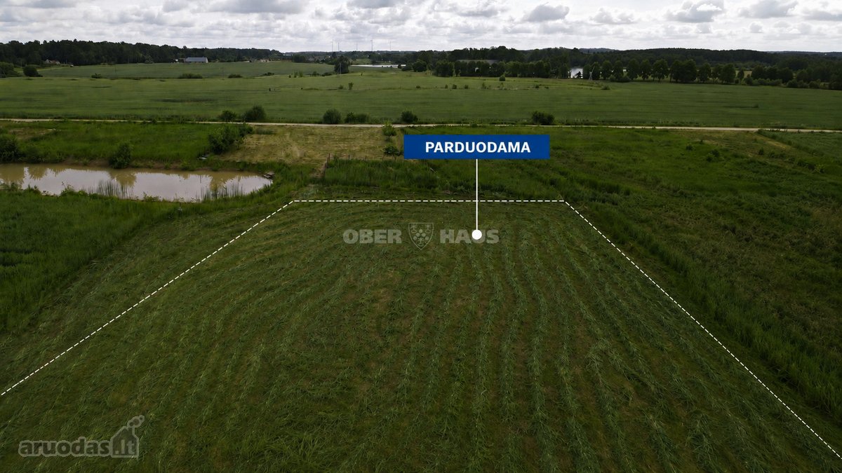 Unikalus Gyvenamųjų Namų Paskirties 10 Arų - nuotraukos Nr. 3