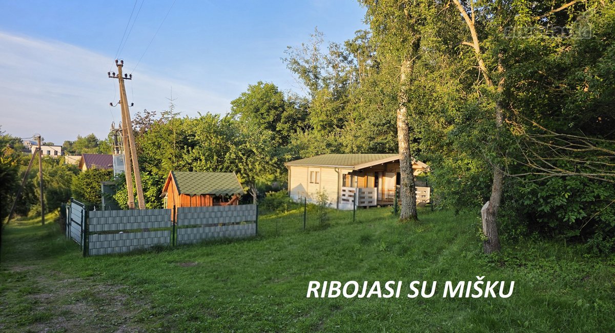 Sodas Brinkiškėse, Vilniaus r.  - nuotraukos Nr. 3