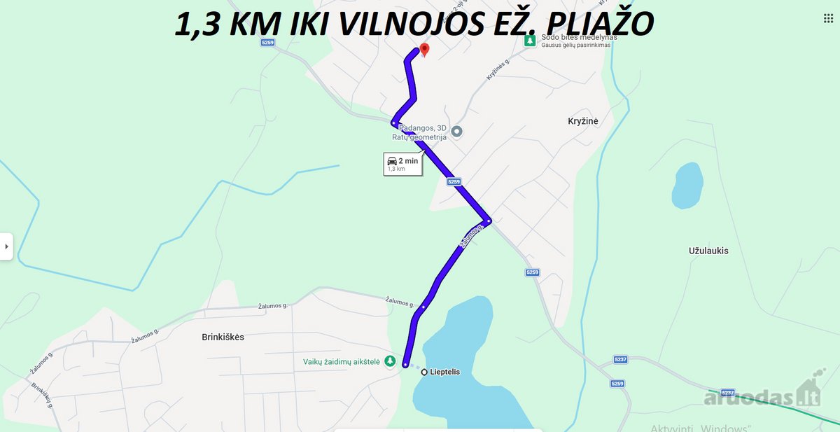 Sodas Brinkiškėse, Vilniaus r.  - nuotraukos Nr. 43