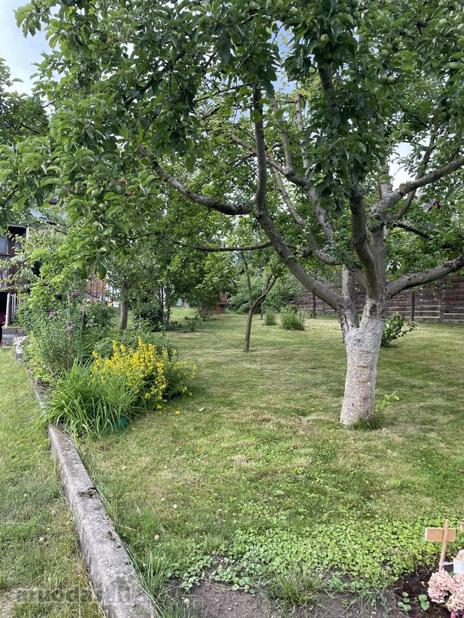Jūsų ramybės kampelis gamtos apsuptyje! - nuotraukos Nr. 16