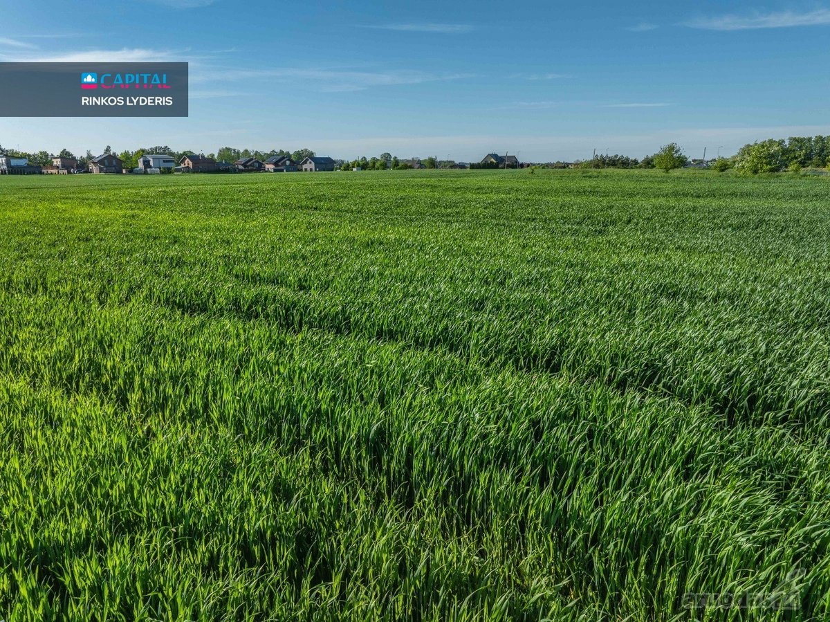 Parduodamas namų valdos 66 arų sklypas Kauno - nuotraukos Nr. 11