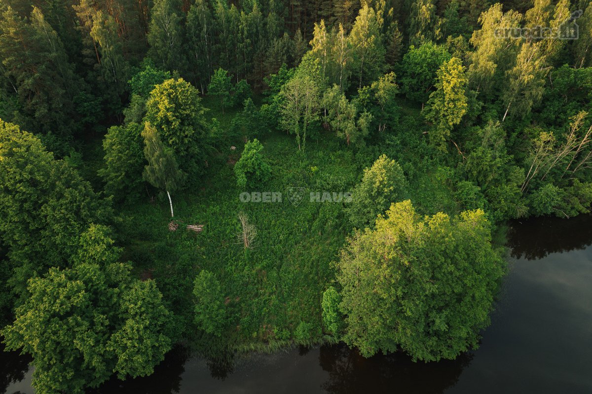 Parduodamas 1,06 Ha Sklypų Masyvas Ant - nuotraukos Nr. 4