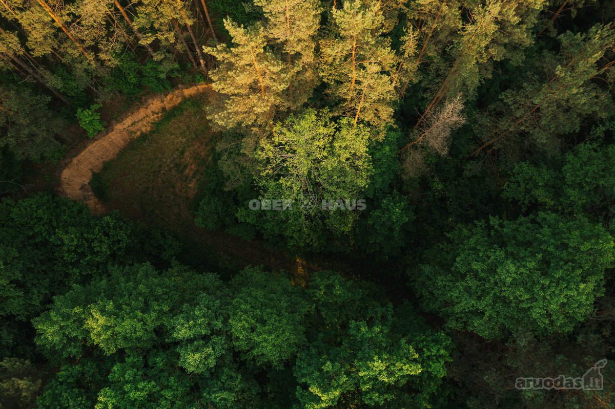 Parduodamas 1,06 Ha Sklypų Masyvas Ant - nuotraukos Nr. 7