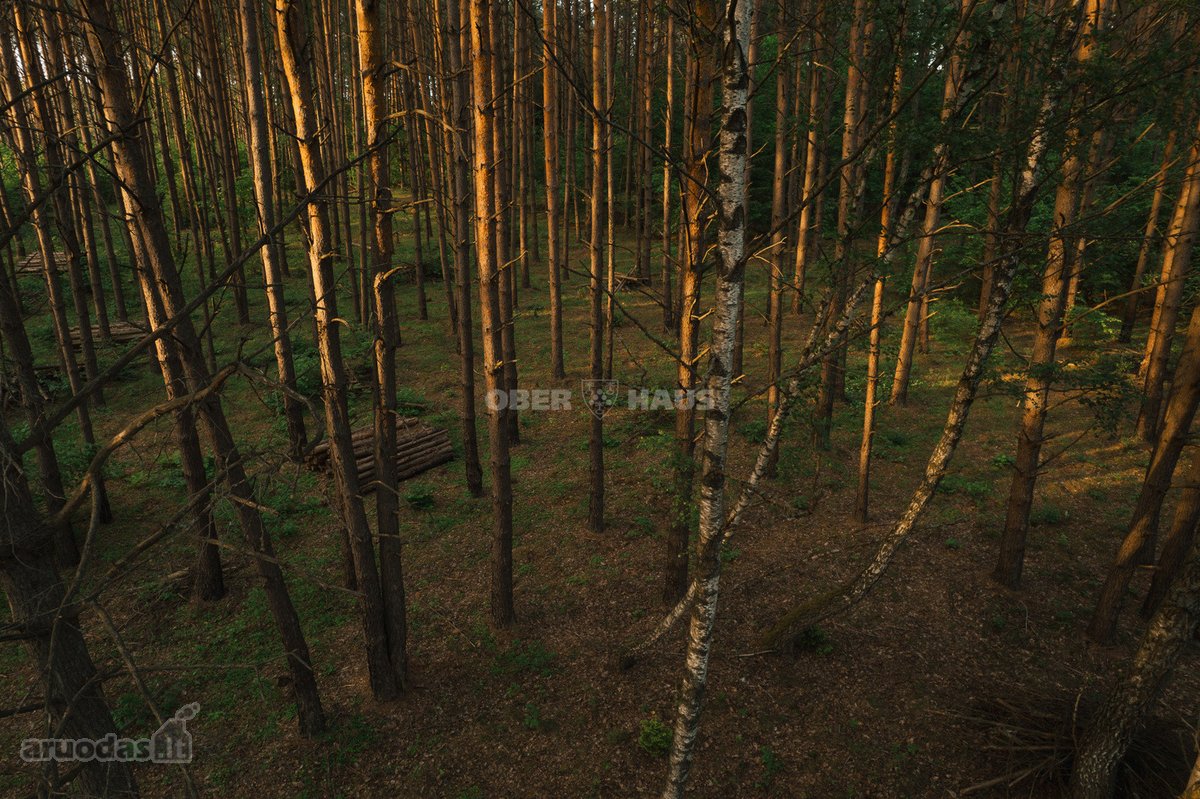 Parduodamas 1,06 Ha Sklypų Masyvas Ant - nuotraukos Nr. 10
