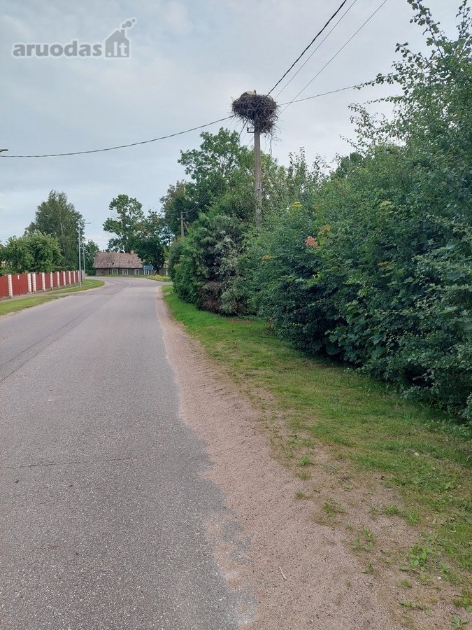 Parduodama rąstinė vieno aukšto sodyba su - nuotraukos Nr. 22