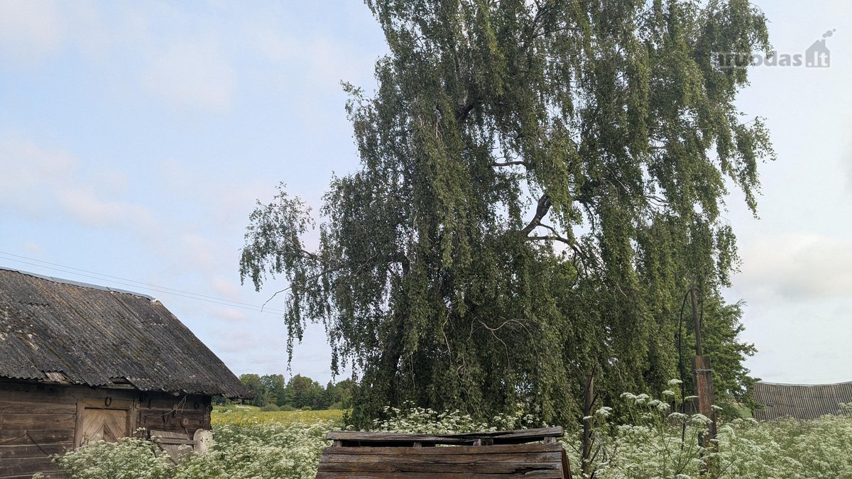Vos už 40 km nuo Vilniaus, privažiavimas - nuotraukos Nr. 13