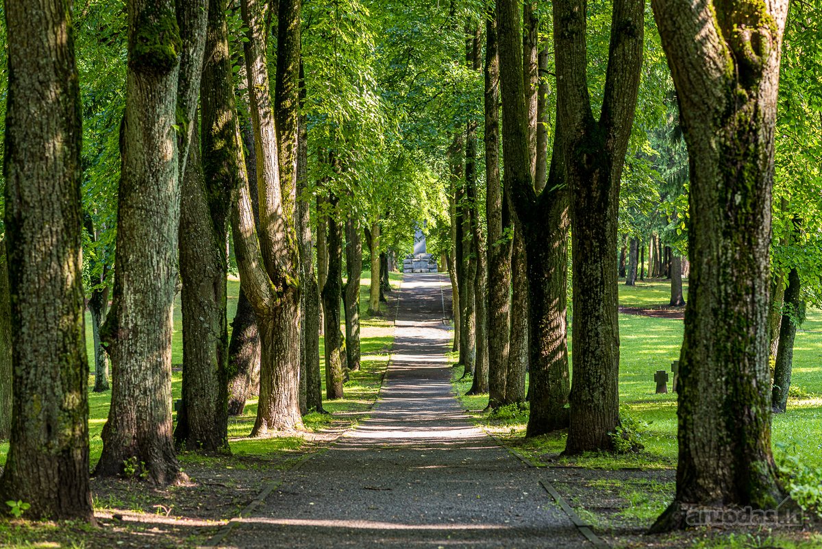 Vos kelios minutės pėsčiomis iki Vingio parko - nuotraukos Nr. 12