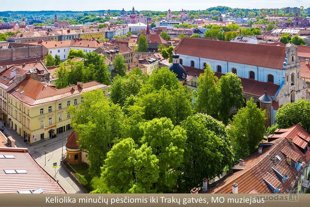 Vos kelios minutės pėsčiomis iki Vingio parko - nuotraukos Nr. 13