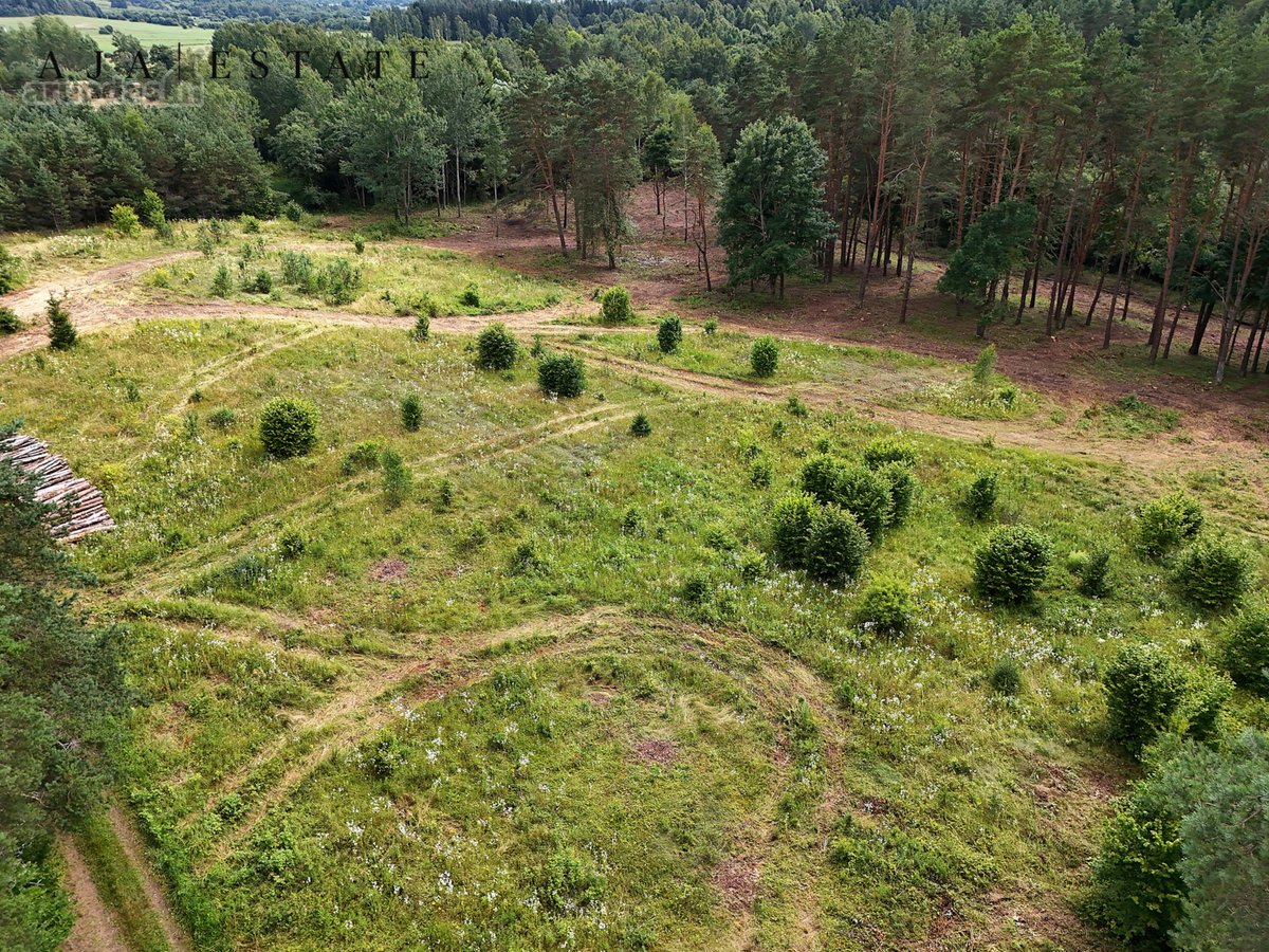 Parduodamas 1,97 ha sklypas miško apsuptyje, - nuotraukos Nr. 2