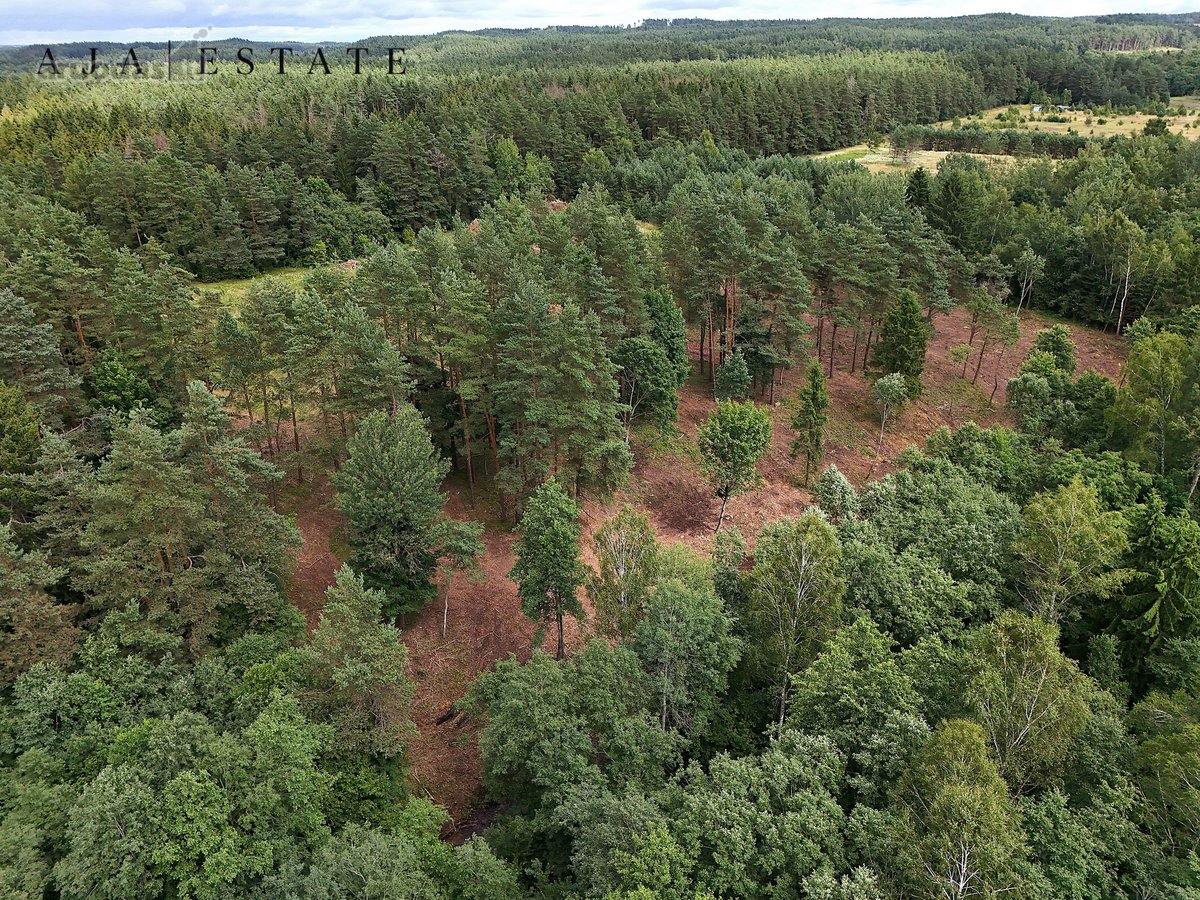 Parduodamas 1,97 ha sklypas miško apsuptyje, - nuotraukos Nr. 9