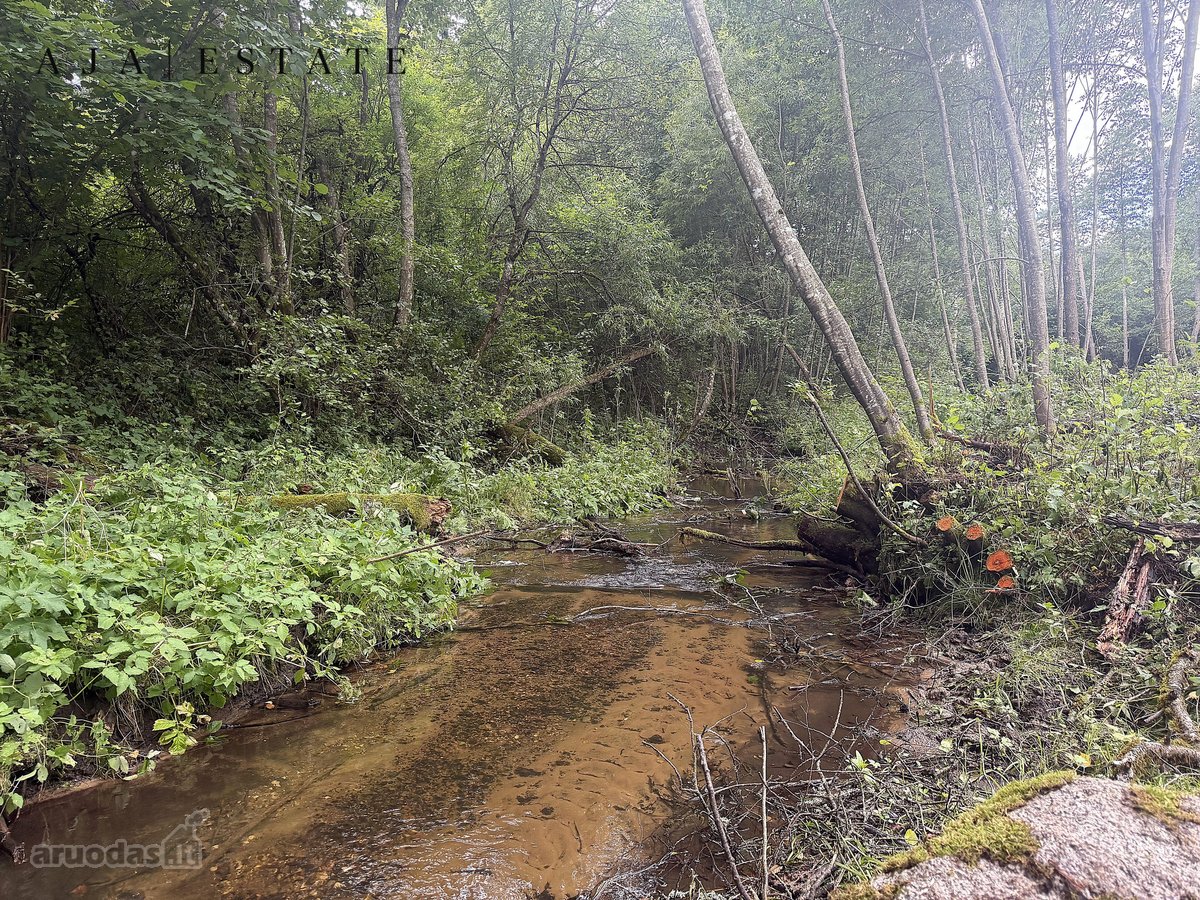 Parduodamas 1,97 ha sklypas miško apsuptyje, - nuotraukos Nr. 11