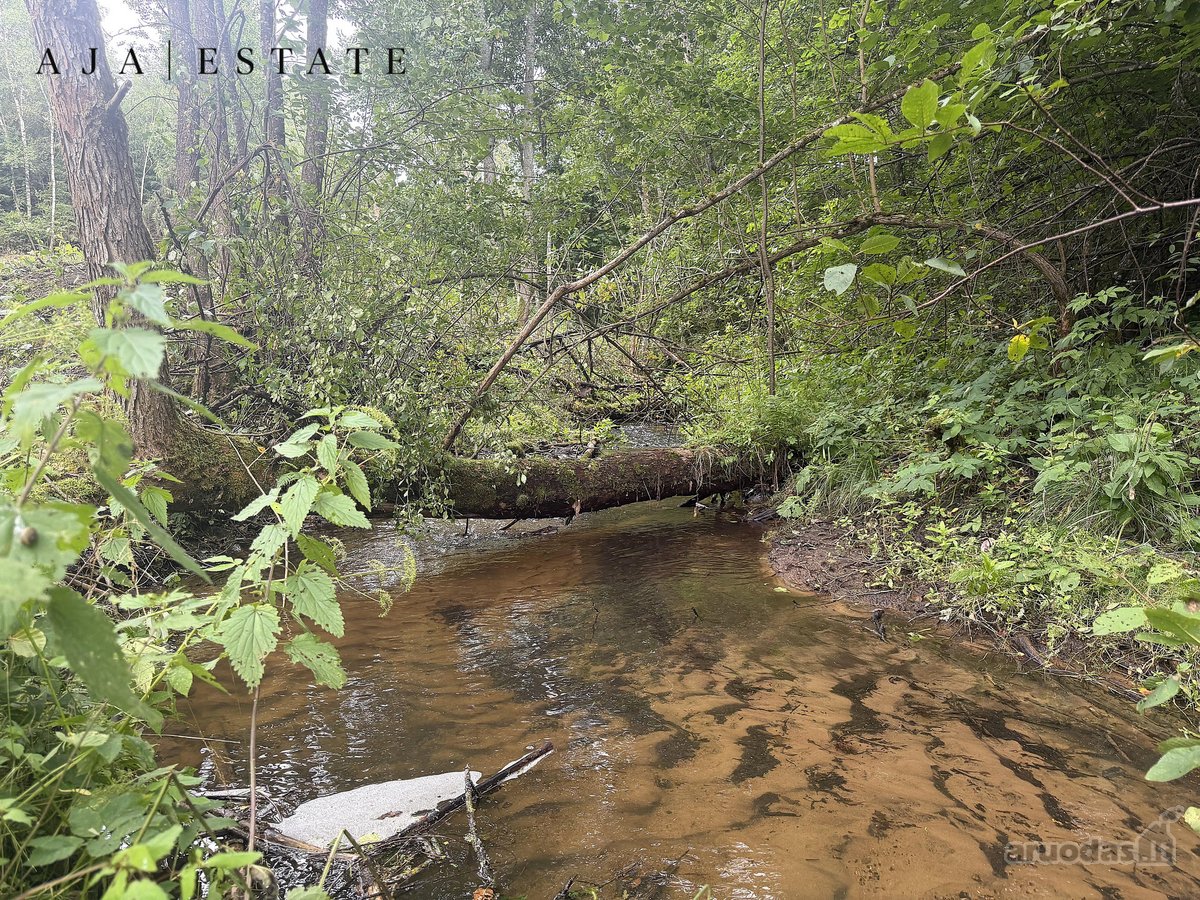Parduodamas 1,97 ha sklypas miško apsuptyje, - nuotraukos Nr. 12