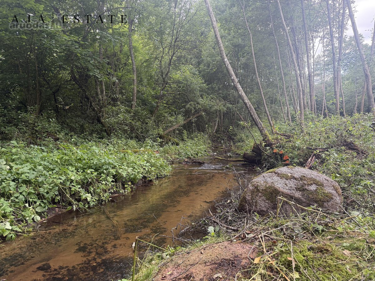 Parduodamas 1,97 ha sklypas miško apsuptyje, - nuotraukos Nr. 13