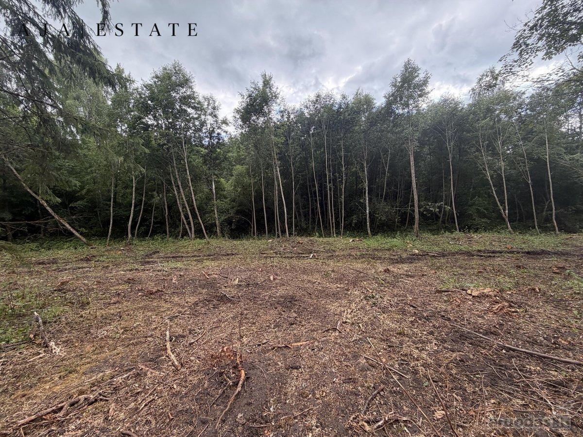 Parduodamas 1,97 ha sklypas miško apsuptyje, - nuotraukos Nr. 15