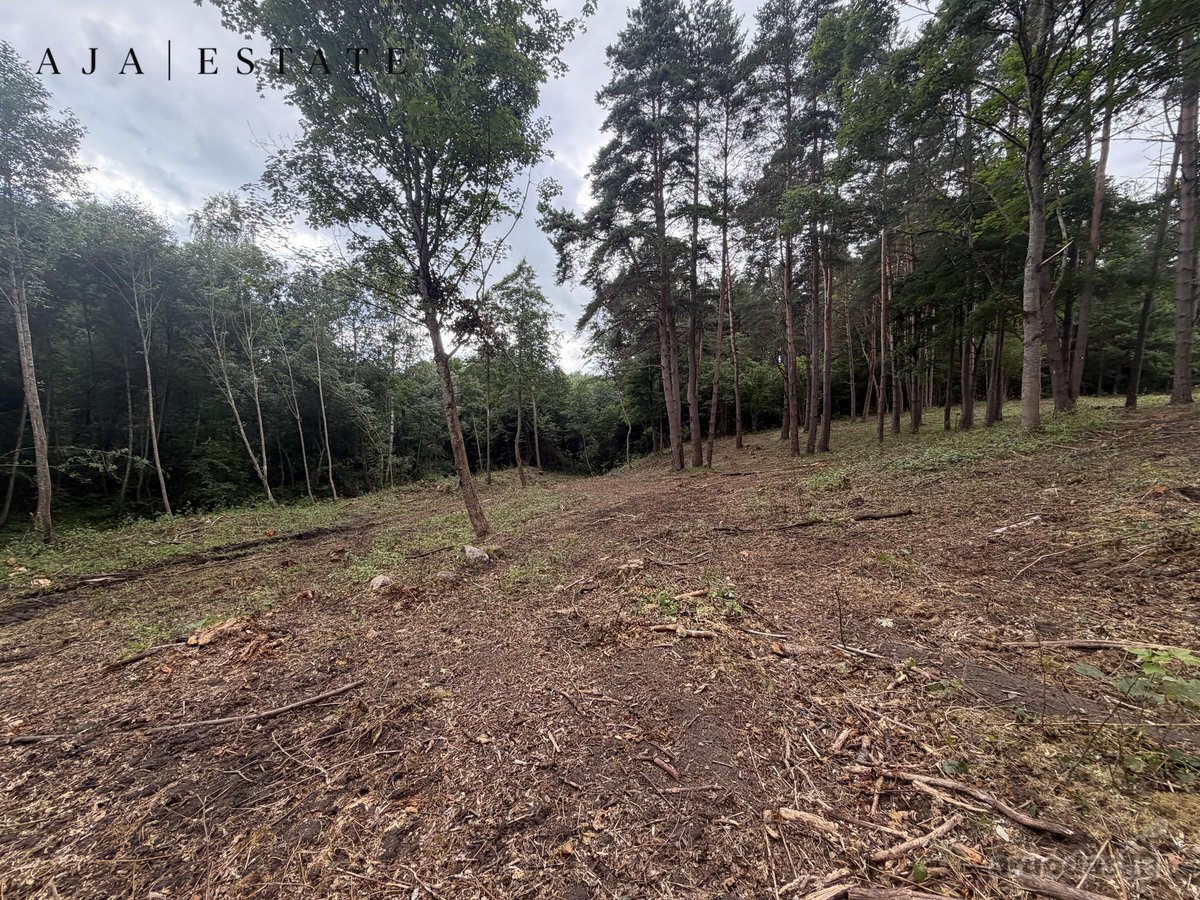 Parduodamas 1,97 ha sklypas miško apsuptyje, - nuotraukos Nr. 16