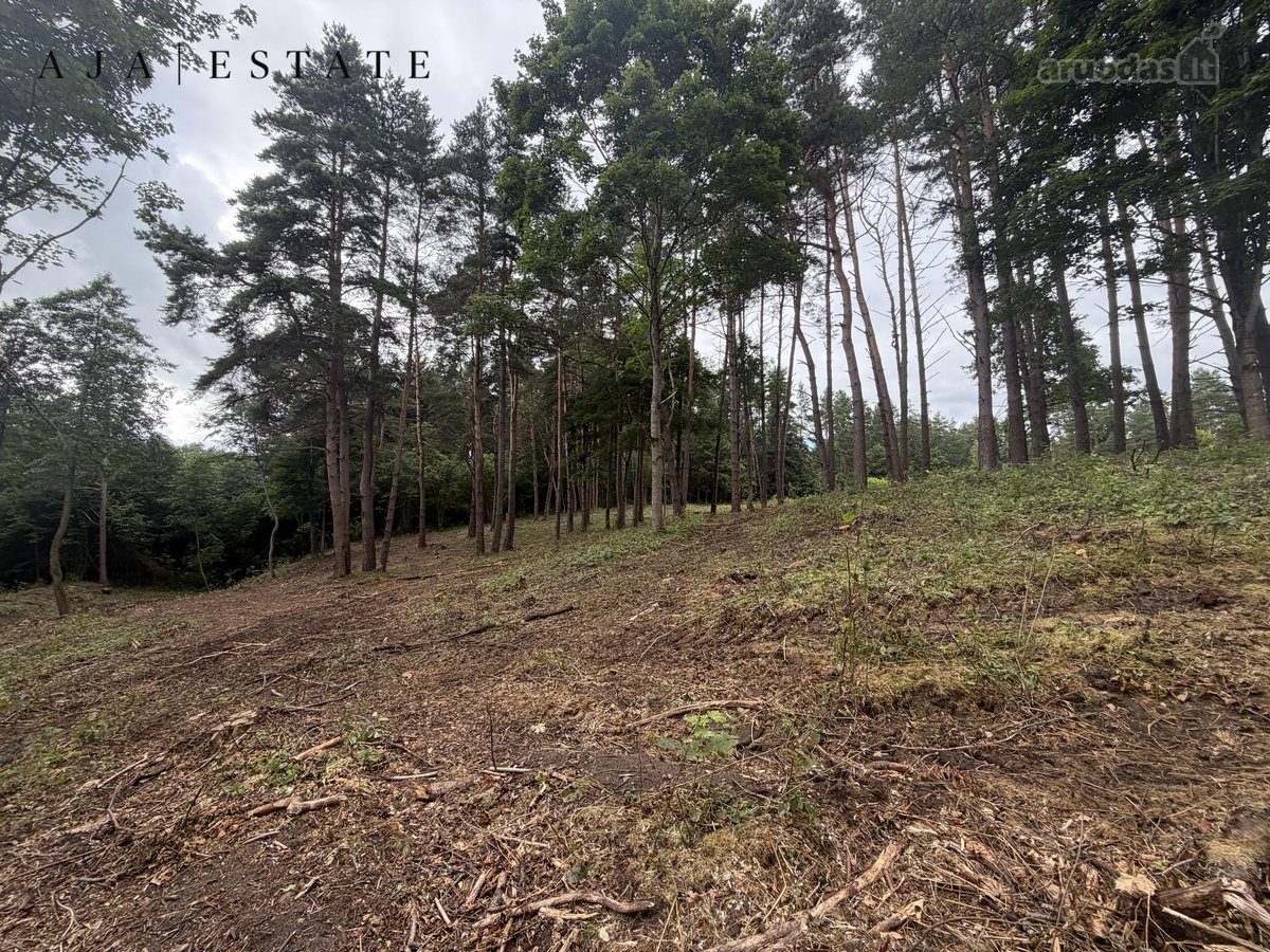 Parduodamas 1,97 ha sklypas miško apsuptyje, - nuotraukos Nr. 17