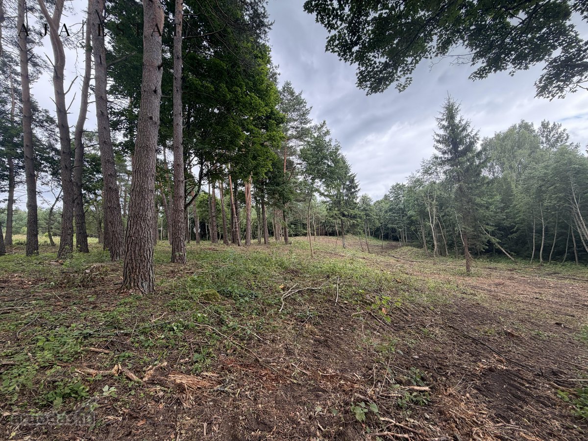 Parduodamas 1,97 ha sklypas miško apsuptyje, - nuotraukos Nr. 18