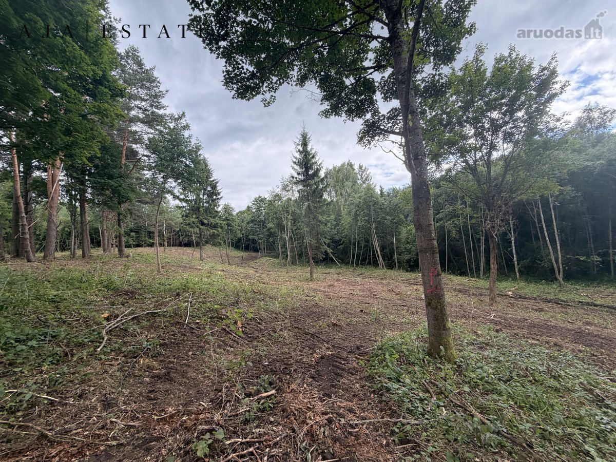 Parduodamas 1,97 ha sklypas miško apsuptyje, - nuotraukos Nr. 19
