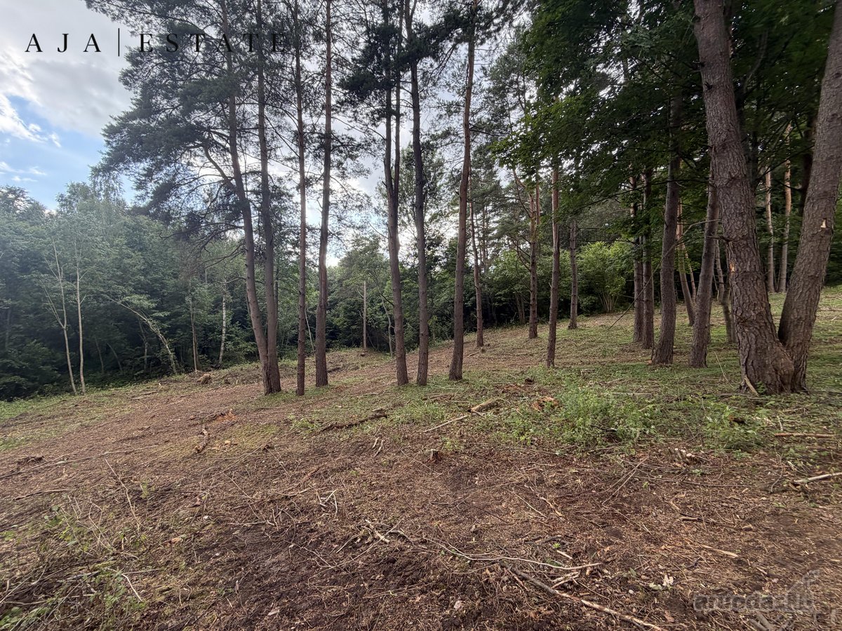 Parduodamas 1,97 ha sklypas miško apsuptyje, - nuotraukos Nr. 20