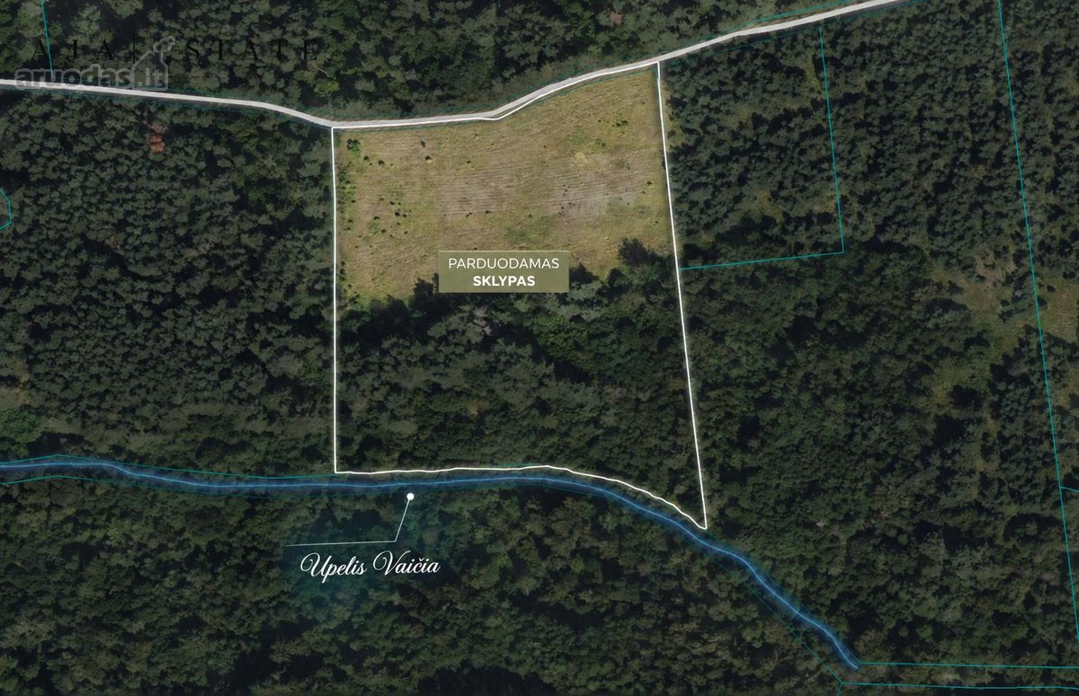Parduodamas 1,97 ha sklypas miško apsuptyje, - nuotraukos Nr. 24