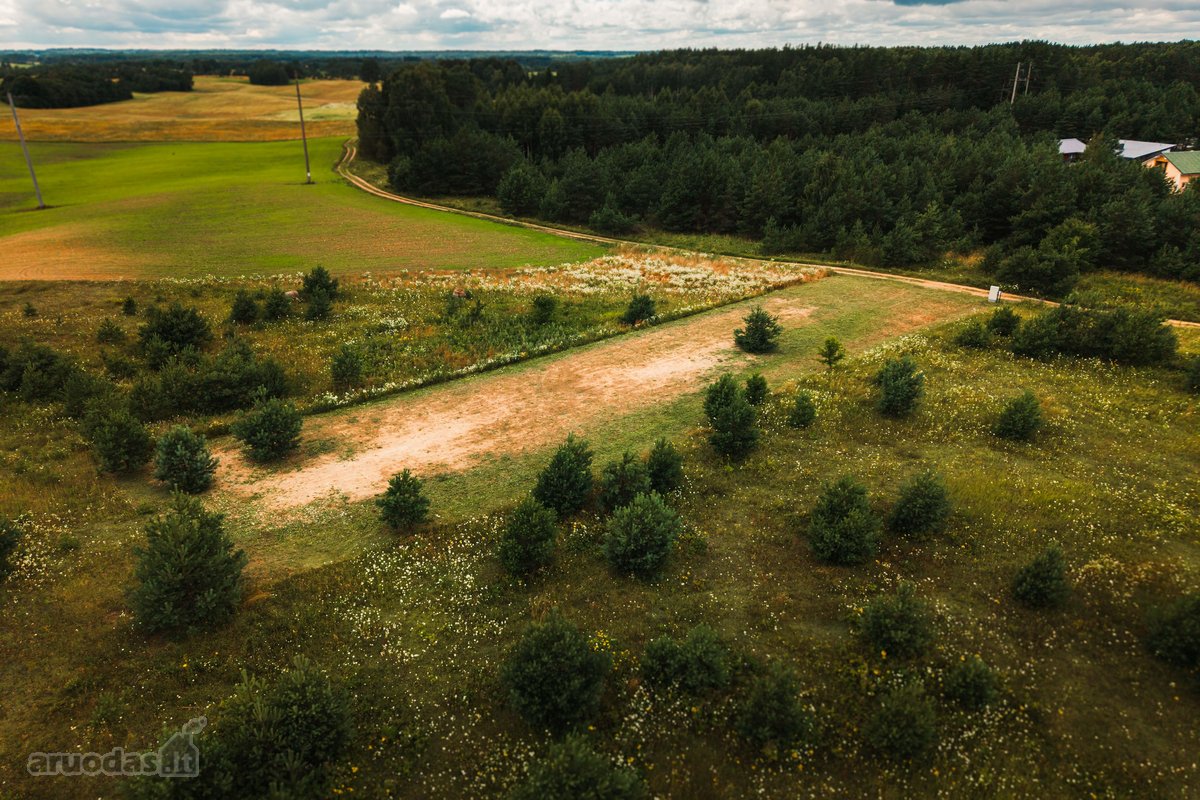 Parduodamas namų valdos sklypas su vieno - nuotraukos Nr. 10