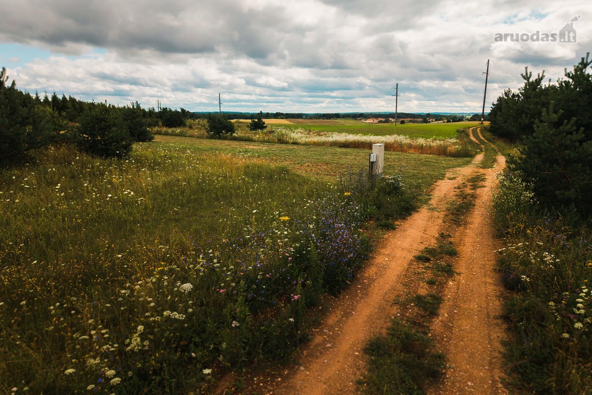 Parduodamas namų valdos sklypas su vieno - nuotraukos Nr. 17
